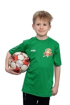 Anssi